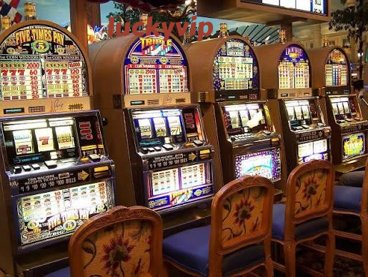 luckyvip Live Game Shows at luckyvip