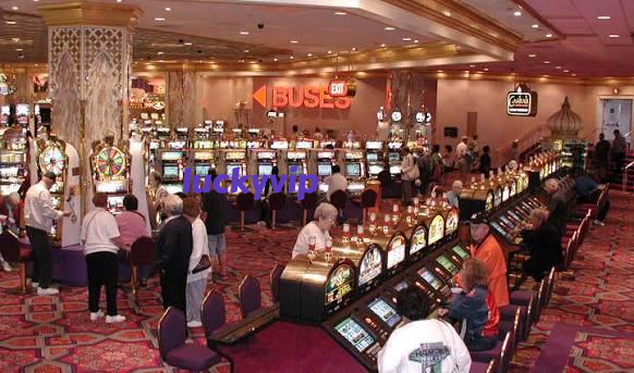 luckyvip Live Casino Tables Built for Indonesia